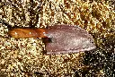 20241123_163429.webp
