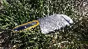 20241123_123813(0).webp