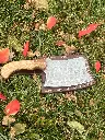 brownSQcleaver.webp