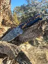 blu pinecone 1.webp