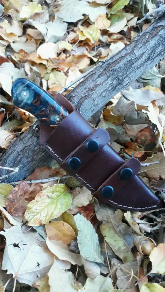 blk pinecone in sheath.webp