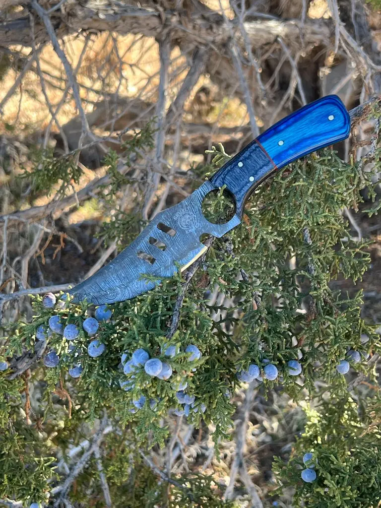 blue teton 1.webp