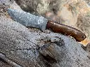 backwoods.webp