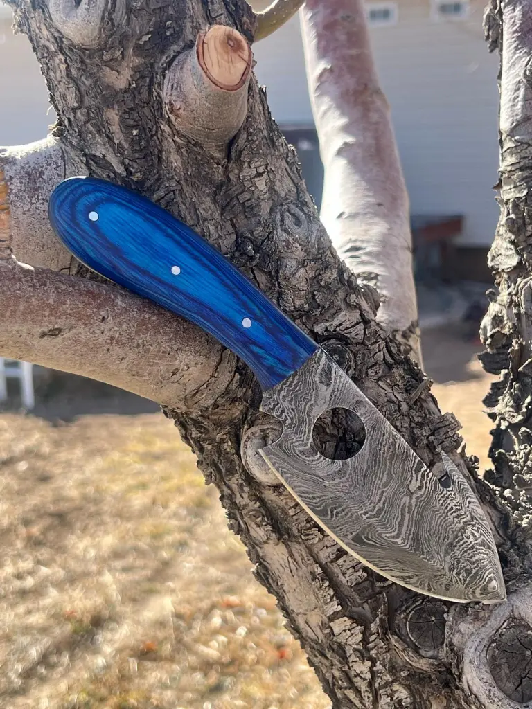 blue holy skinner.webp