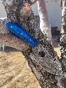 blue holy skinner.webp