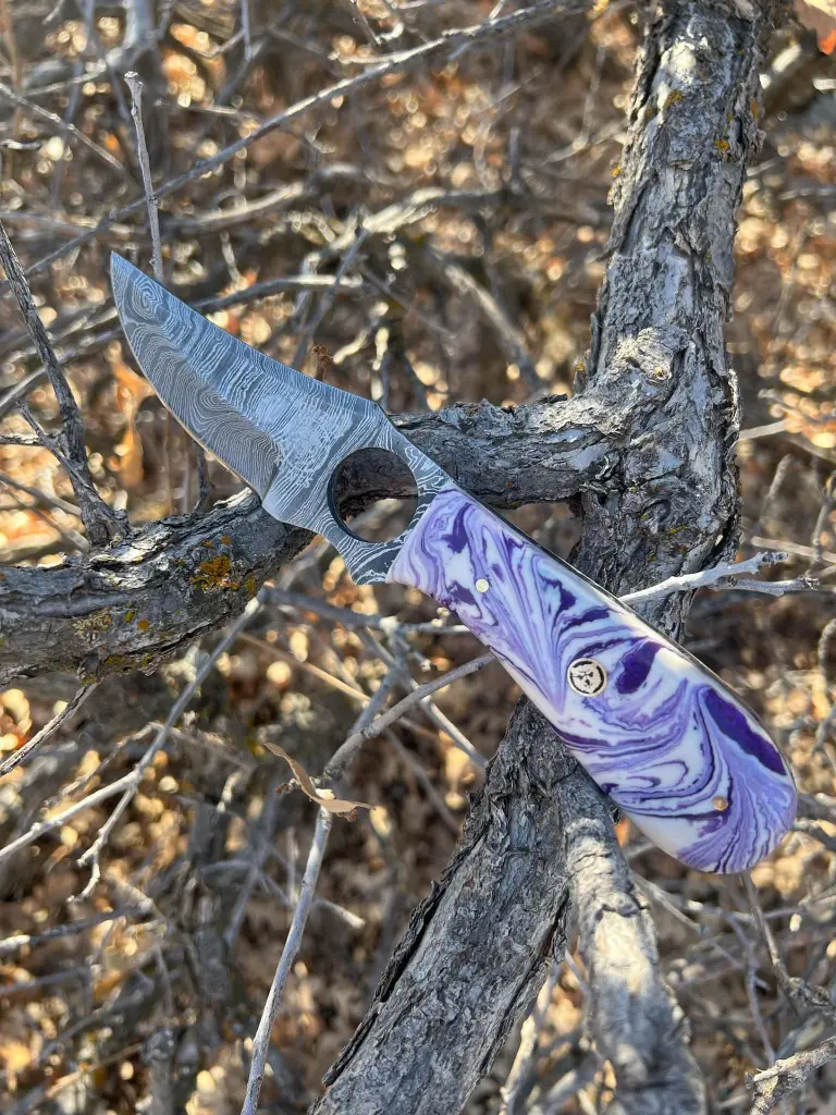 purple california 1.webp