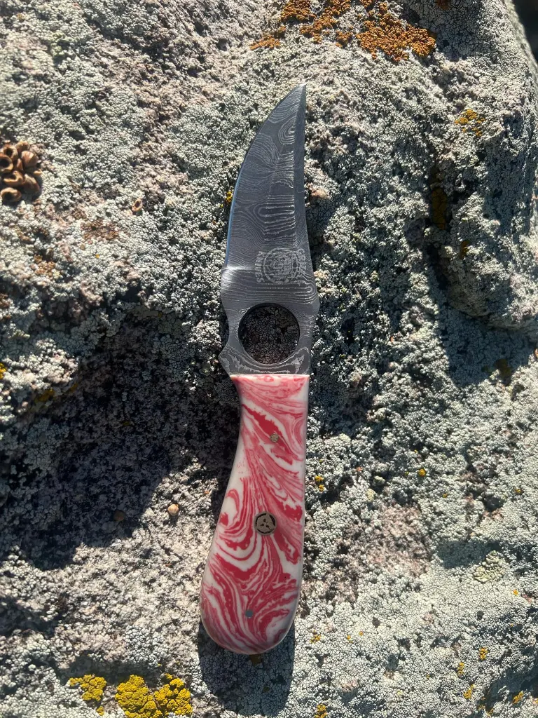 pink california 2.webp