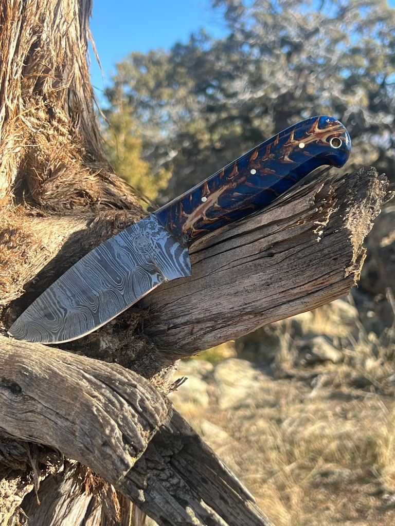 Pinecone