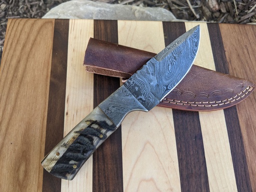 Natural Ram Horn Skinner