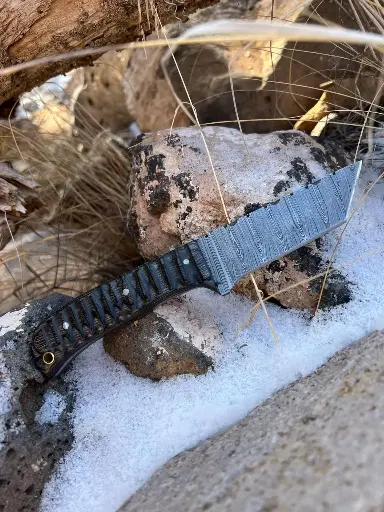 Warrior