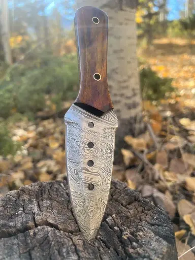 Sedona